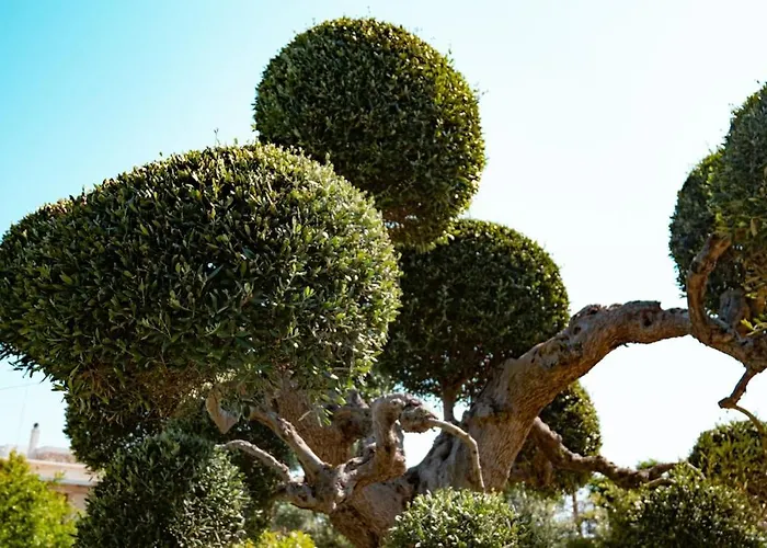 Dimora Aidani Cozzana