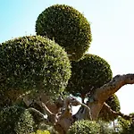 Dimora Aidani Cozzana