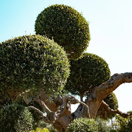 Dimora Aidani Cozzana